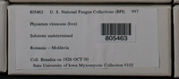 Image Associated With the Occurence